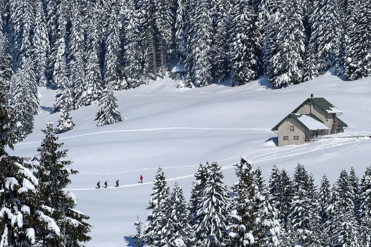 Alpine Smart Residence Фольгария Экстерьер фото